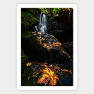 Autumn Waterfall Sticker